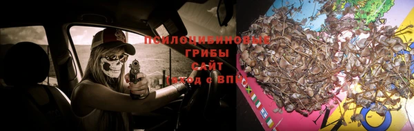 трава Сосновоборск