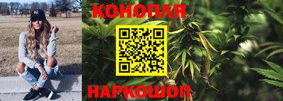 индика Тара