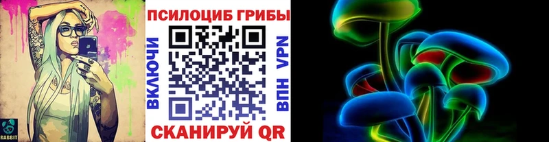 как найти закладки  блэк спрут ТОР  Галлюциногенные грибы MAGIC MUSHROOMS  Ноябрьск 