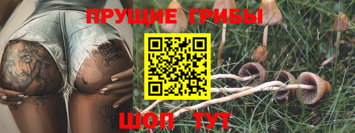 Галлюциногенные грибы GOLDEN TEACHER  Вход с VPN  Ноябрьск 